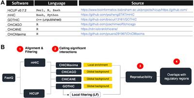 Comparison of Capture Hi-C Analytical Pipelines